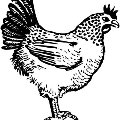 CHICK009 Thumbnail