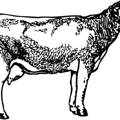 COW033 Thumbnail