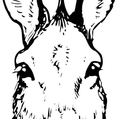 BURRO008 Thumbnail
