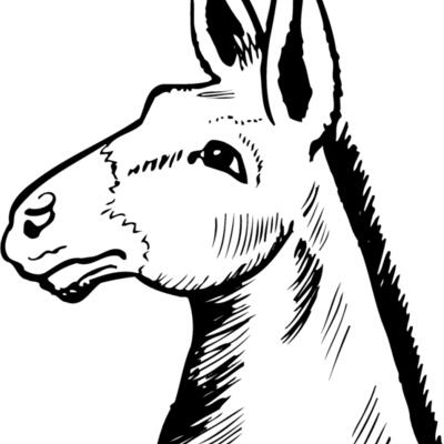 BURRO014 Thumbnail