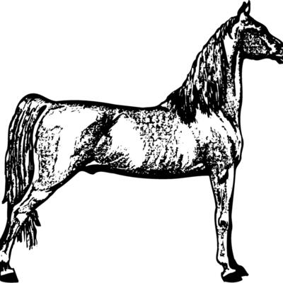 HORSE023 Thumbnail