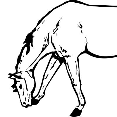 HORSE045 Thumbnail