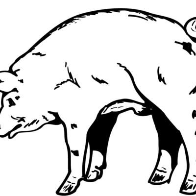 PIG0002 Thumbnail