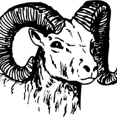 RAM010 Thumbnail