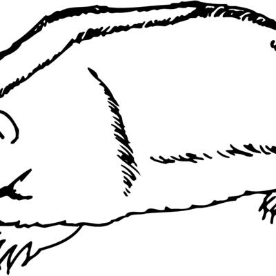 BADGER06 Thumbnail
