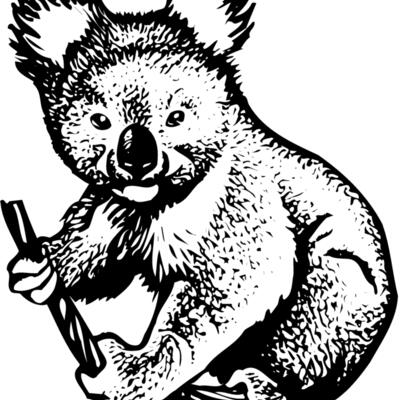 BEAR007 Thumbnail