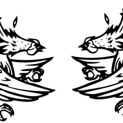 BIRD054 Thumbnail