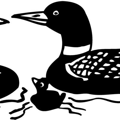 BIRD085 Thumbnail