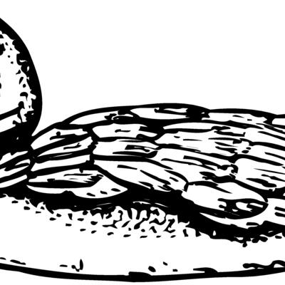 BIRD093 Thumbnail