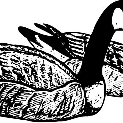 BIRD100 Thumbnail