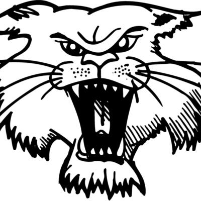 CAT01 Thumbnail