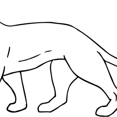 CAT05 Thumbnail