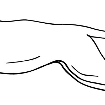 CAT12 Thumbnail