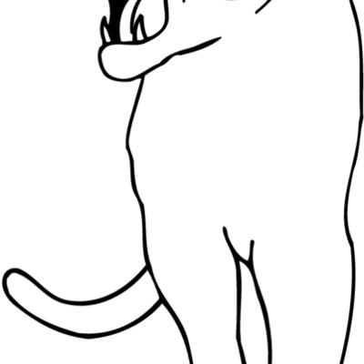CAT18 Thumbnail