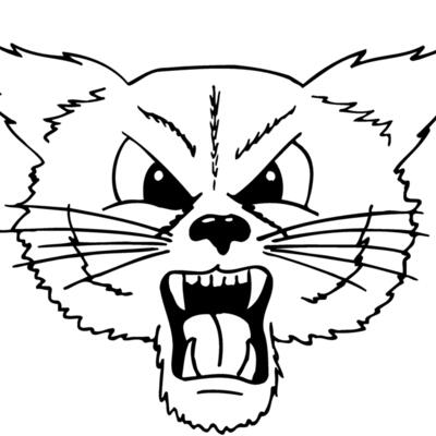 CAT20 Thumbnail