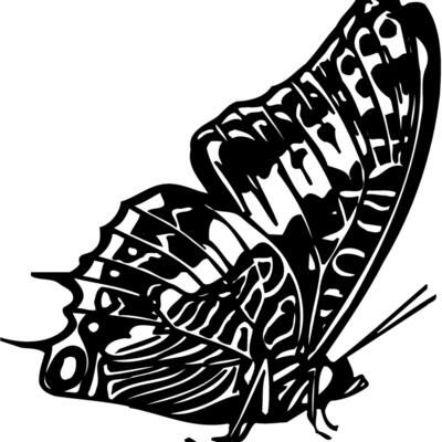BTRFLY02 Thumbnail
