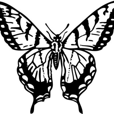 BTRFLY06 Thumbnail