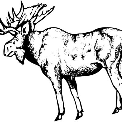MOOSE002 Thumbnail