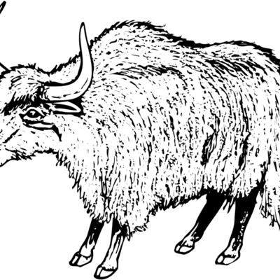 WBUFF004 Thumbnail
