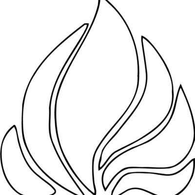 DESIGN55 Thumbnail