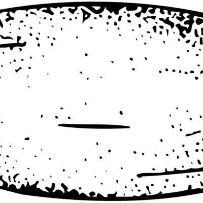 FRUIT006 Thumbnail
