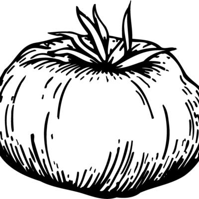 VEG015 Thumbnail