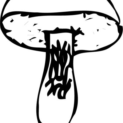 VEG028 Thumbnail