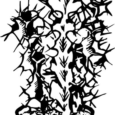 CACTUS04 Thumbnail
