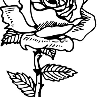 FLOWER04 Thumbnail