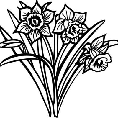FLOWER26 Thumbnail