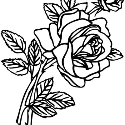 FLOWER27 Thumbnail