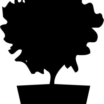PLANT06 Thumbnail