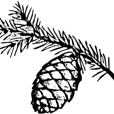 PCONE02 Thumbnail