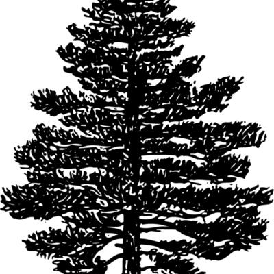 TREE0003 Thumbnail