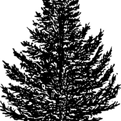 TREE0005 Thumbnail