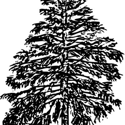 TREE0009 Thumbnail