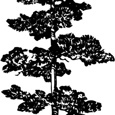 TREE0012 Thumbnail