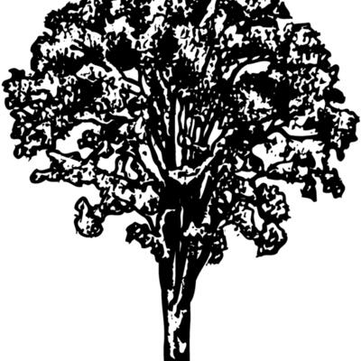 TREE0015 Thumbnail