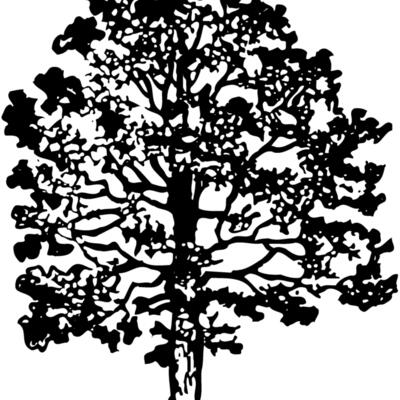 TREE0016 Thumbnail