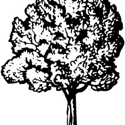 TREE0017 Thumbnail