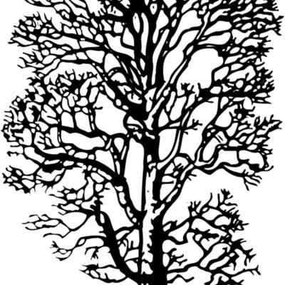 TREE0021 Thumbnail