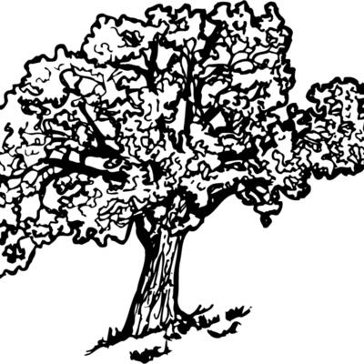 TREE0027 Thumbnail