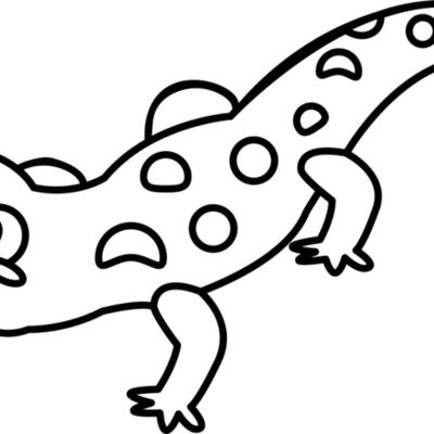 Newt   Clipart 2 Thumbnail