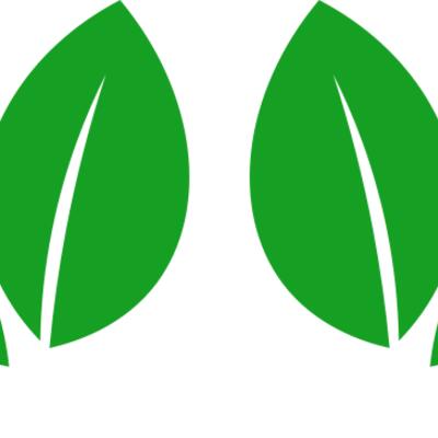 11 Leaves Thumbnail