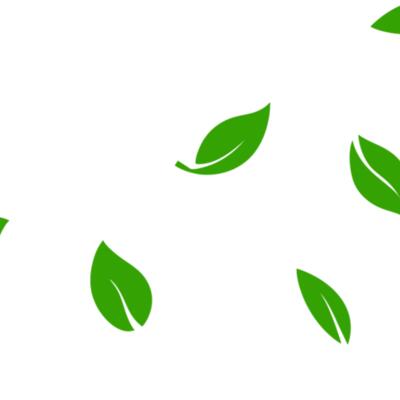 13 Leaves Thumbnail