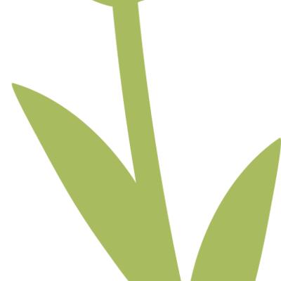 20 Flower Thumbnail