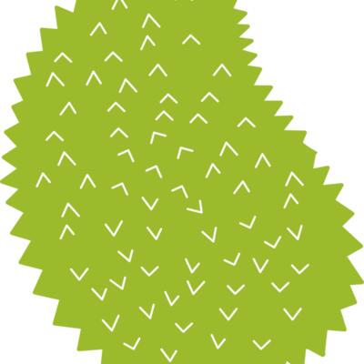 Jackfruit Thumbnail
