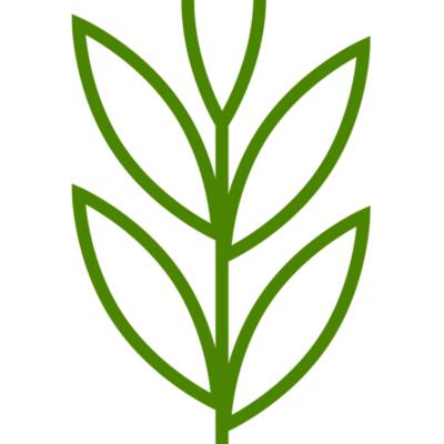Leaves 4 Thumbnail