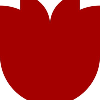 Flower 11 Thumbnail