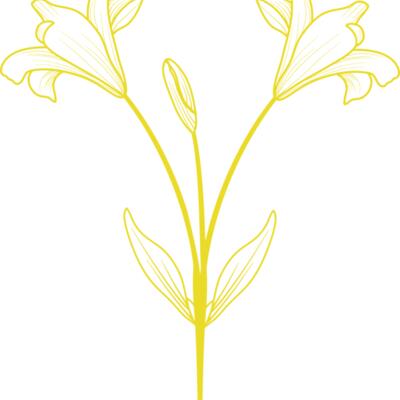 Flowers 9 Thumbnail